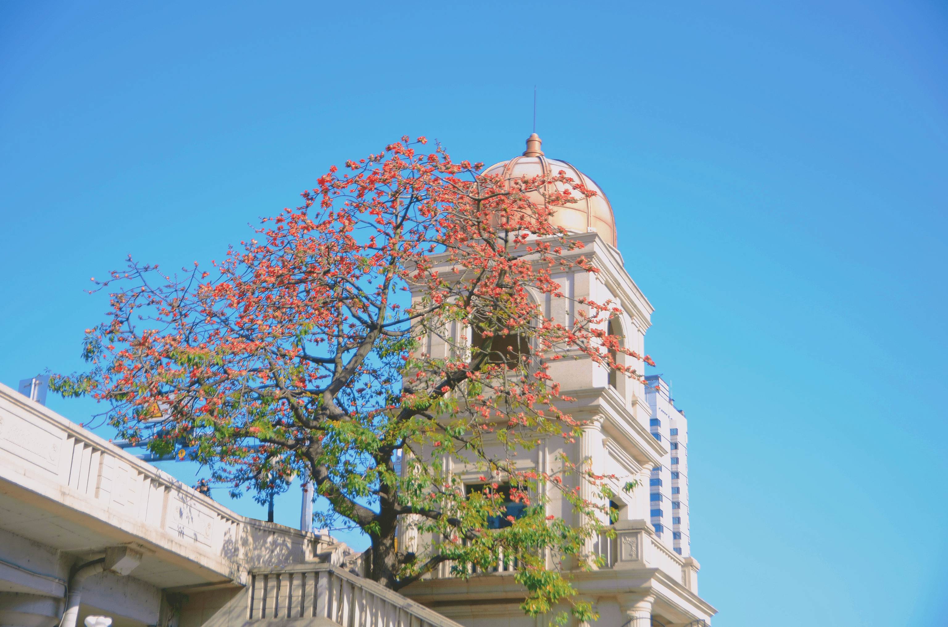 python之FTP小工具